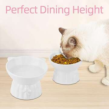 2Pcs Ceramic Elevated Cat Bowls for Comfortable Dining