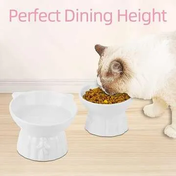 2Pcs Ceramic Elevated Cat Bowls for Comfortable Dining
