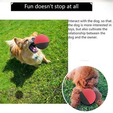 KEVENZ 6-Pack Rubber Dog Fetch Balls,Pet Toy Durable Bouncy Balls No Toxic,All Natural,BPA-Free (Red,Green,Black,Yellow)