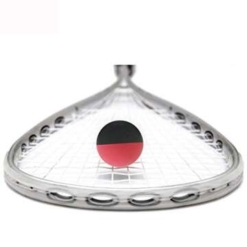 KEVENZ 6-Pack Rubber Dog Fetch Balls,Pet Toy Durable Bouncy Balls No Toxic,All Natural,BPA-Free (Red,Green,Black,Yellow)