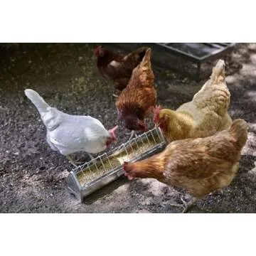 Durable Little Giant® Metal Poultry Feeder - 20" Galvanized