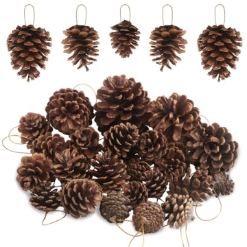 25 PCS 0.8-3.6inch Christmas Natural Pine Cones Pine Cones Christmas Tree Pine Cones Bulk Christmas ...
