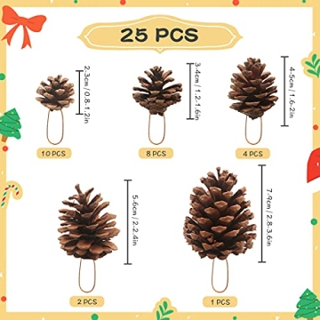 25 Natural Pine Cones for Christmas Tree Decor and Crafts