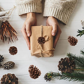 25 Natural Pine Cones for Christmas Tree Decor and Crafts