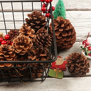 25 Natural Pine Cones for Christmas Tree Decor and Crafts