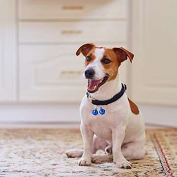 Molain 10 Pcs Cat Dog Collar Bells, Jingle Bell for Cat Collar,Dog Collar Charms,Colourful Pet Small Bells with Clasps Collar Accessories,Festival Party DIY Crafts Decoration