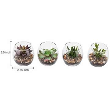 MyGift Assorted Artificial Succulent Plants in Glass Vases