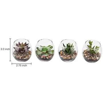 MyGift Assorted Artificial Succulent Plants in Glass Vases