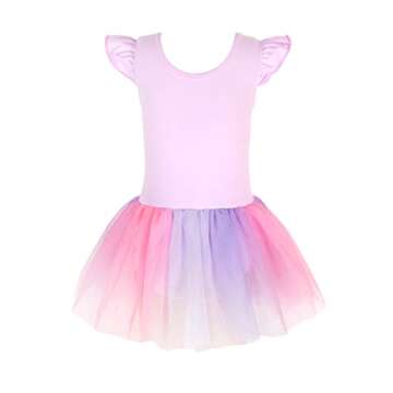EQSJIU Unicorn Dance Leotards For Girls 4t 5t Purple Tutu Colorful Rainbow Skirts Paster Adorable Halloween Costume 4-5t Cute Ballet Dress