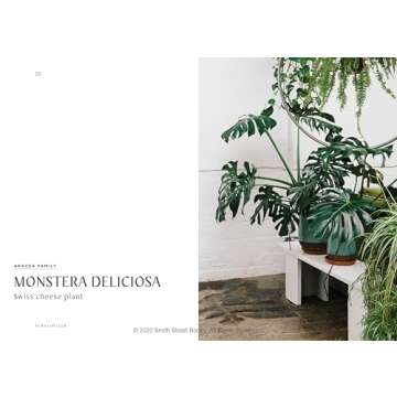 Plantopedia: The Definitive Guide to Houseplants