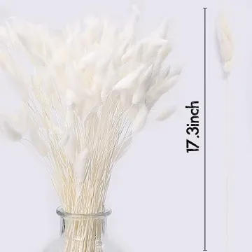 JOHOUSE 120PCS White Bunny Tails Dried Flowers Decor
