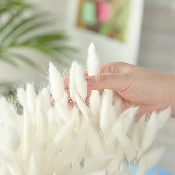 JOHOUSE 120PCS White Bunny Tails Dried Flowers Decor