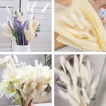 JOHOUSE 120PCS White Bunny Tails Dried Flowers Decor