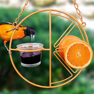 Heath Outdoor Products CF-133 Clementine Oriole Feeder - Attract Vibrant Birds with Ease