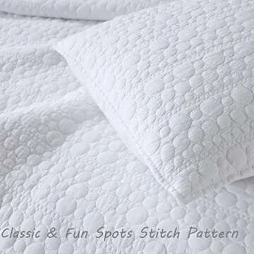 HORIMOTE HOME Queen Quilt Set Ultra Soft Chic Design