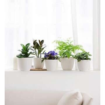 Mkono 6.5" Plastic Planters with Saucers, Indoor Set of 5 Flower Plant Pots with Drainage for All Ho...
