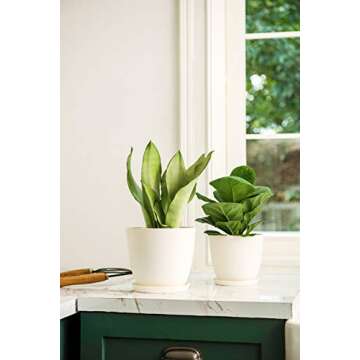 Mkono 6.5" Plastic Planters with Saucers, Indoor Set of 5 Flower Plant Pots with Drainage for All House Plants, Herbs, Foliage Plant, and Seeding Nursery, Cream White