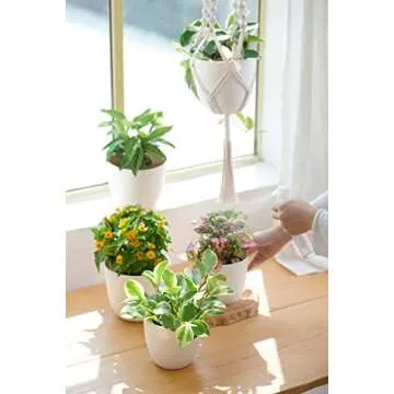 Mkono 6.5" Plastic Planters with Saucers, Indoor Set of 5 Flower Plant Pots with Drainage for All House Plants, Herbs, Foliage Plant, and Seeding Nursery, Cream White