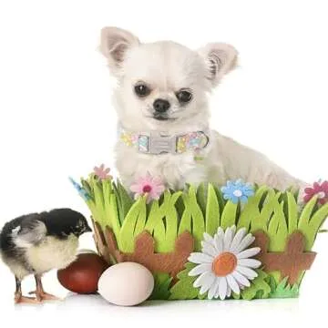 Unique style paws Easter Day Dog Collar Plastic Buckle Collar with Pendant Blue Sports Rabbit Ball Egg Puppy Collars Gift for Small Medium Large Boys Girls Dogs