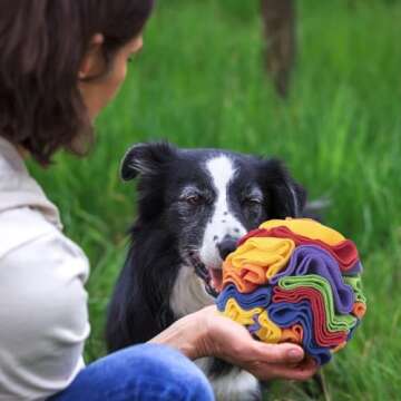 DONGKER Interactive Snuffle Ball for Small Dogs