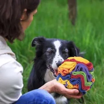 DONGKER Interactive Snuffle Ball for Small Dogs