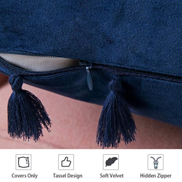 MIULEE Velvet Decorative Pillow Covers with Tassels