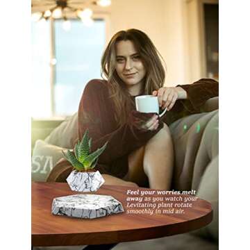 BandD Plant Pot for Succulents, air Bonsai & air Plants. Planter for Home, Office & Desk Decor. Magn...