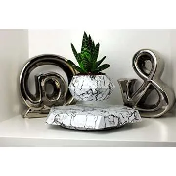 BandD Plant Pot for Succulents, air Bonsai & air Plants. Planter for Home, Office & Desk Decor. Magnetic Floating Levitating Display. (Marble)