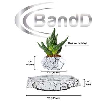 BandD Plant Pot for Succulents, air Bonsai & air Plants. Planter for Home, Office & Desk Decor. Magnetic Floating Levitating Display. (Marble)