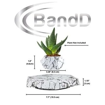 BandD Plant Pot for Succulents, air Bonsai & air Plants. Planter for Home, Office & Desk Decor. Magnetic Floating Levitating Display. (Marble)