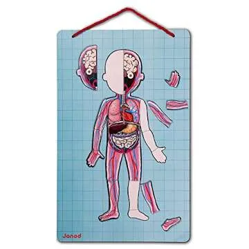 Janod Body Magnet Game - Educational Human Anatomy Puzzle