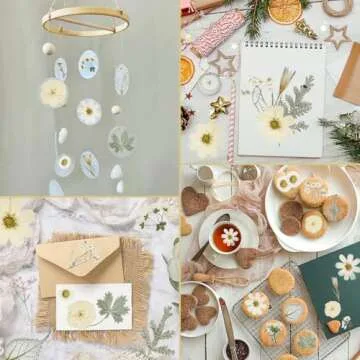 50Pcs Dried Pressed Flowers for Crafting and DIY Gifting