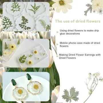 50Pcs Dried Pressed Flowers for Crafting and DIY Gifting