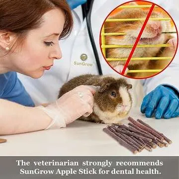 SunGrow Apple Sticks, Wood Chew Sticks for Rabbits, Chinchillas, Bunny, Hamster, Squirrel, Guinea Pigs, Small Animals Molar Pet Chew Toys Treat Sticks for Teeth Grinding 200g (7 oz)