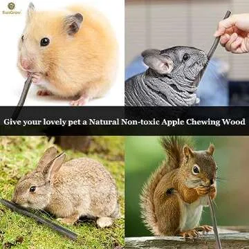 SunGrow Apple Sticks, Wood Chew Sticks for Rabbits, Chinchillas, Bunny, Hamster, Squirrel, Guinea Pigs, Small Animals Molar Pet Chew Toys Treat Sticks for Teeth Grinding 200g (7 oz)