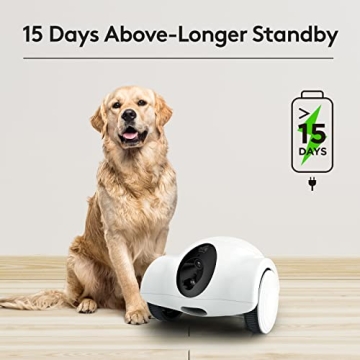 Top Dog Camera with Treat Dispenser for Pets