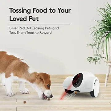 Top Dog Camera with Treat Dispenser for Pets