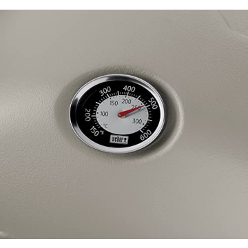 Weber Q1200 Titanium Portable Propane Grill