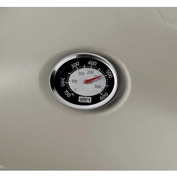 Weber Q1200 Titanium Portable Propane Grill