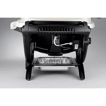 Weber Q1200 Titanium Portable Propane Grill