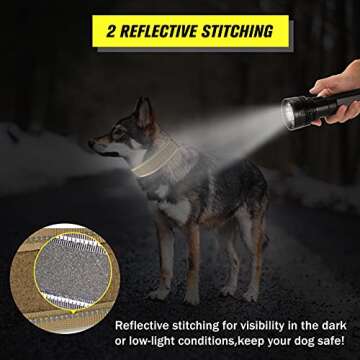 Tactical Dog Collar with Handle - Military Grade Adjustable & Safe