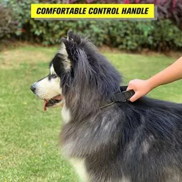 Tactical Dog Collar with Handle - Military Grade Adjustable & Safe
