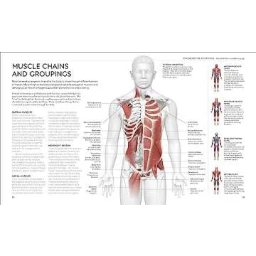 Science of Stretch to Maximize Your Flexibility