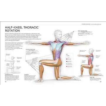 Science of Stretch to Maximize Your Flexibility