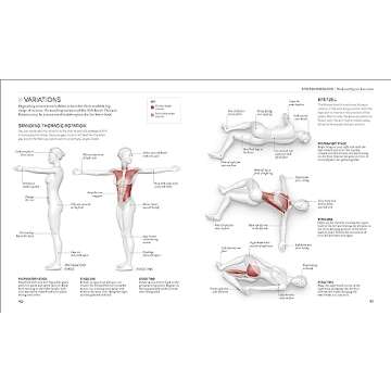 Science of Stretch to Maximize Your Flexibility