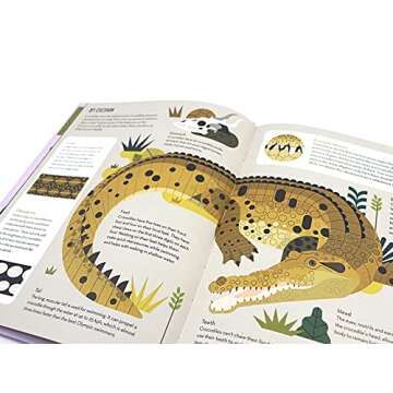 Exciting Crocodile Facts for Kids - Curious About Crocodiles