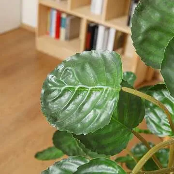 Kazeila Artificial Aralia Balfour Tree,Fake Greenery Plant,Come with Woven Seagrass Belly Basket,Indoor Modern Decoration,4 Feet