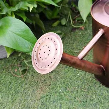 yourjoy Galvanized Metal Watering Can, One Gallon Watering Cans for Outdoor Indoor Garden Plants Watering with Luminous Panit