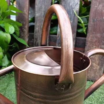 yourjoy Galvanized Metal Watering Can, One Gallon Watering Cans for Outdoor Indoor Garden Plants Watering with Luminous Panit