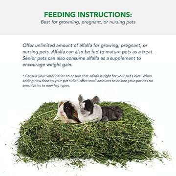 Viking Farmer Alfalfa Hay for Rabbits & Small Pets, 7 lbs